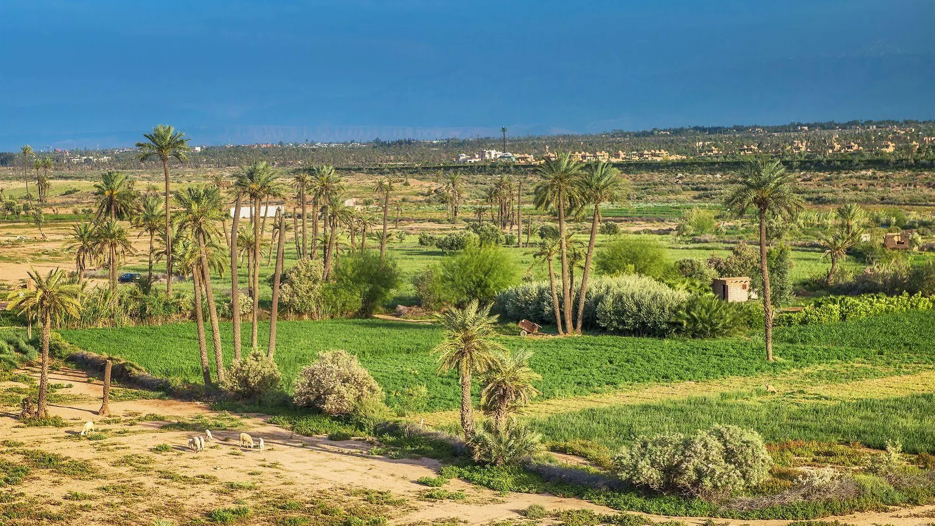 **** Hotel Caravan Serai Douar Khalifa Ben Mbarek Morocco
